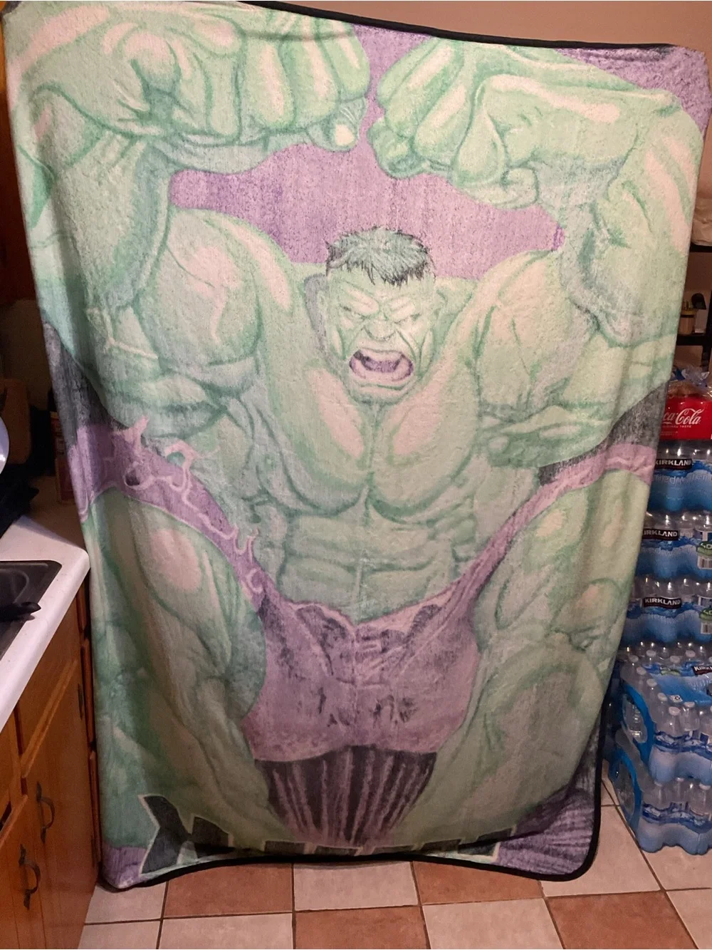 Marvel Hulk Plush Throw Blanket in Green and Purple